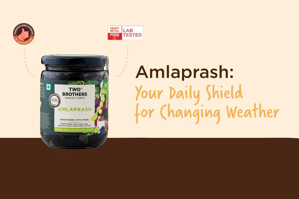 How Amlaprash Helps You Stay Energized During Seasonal Changes