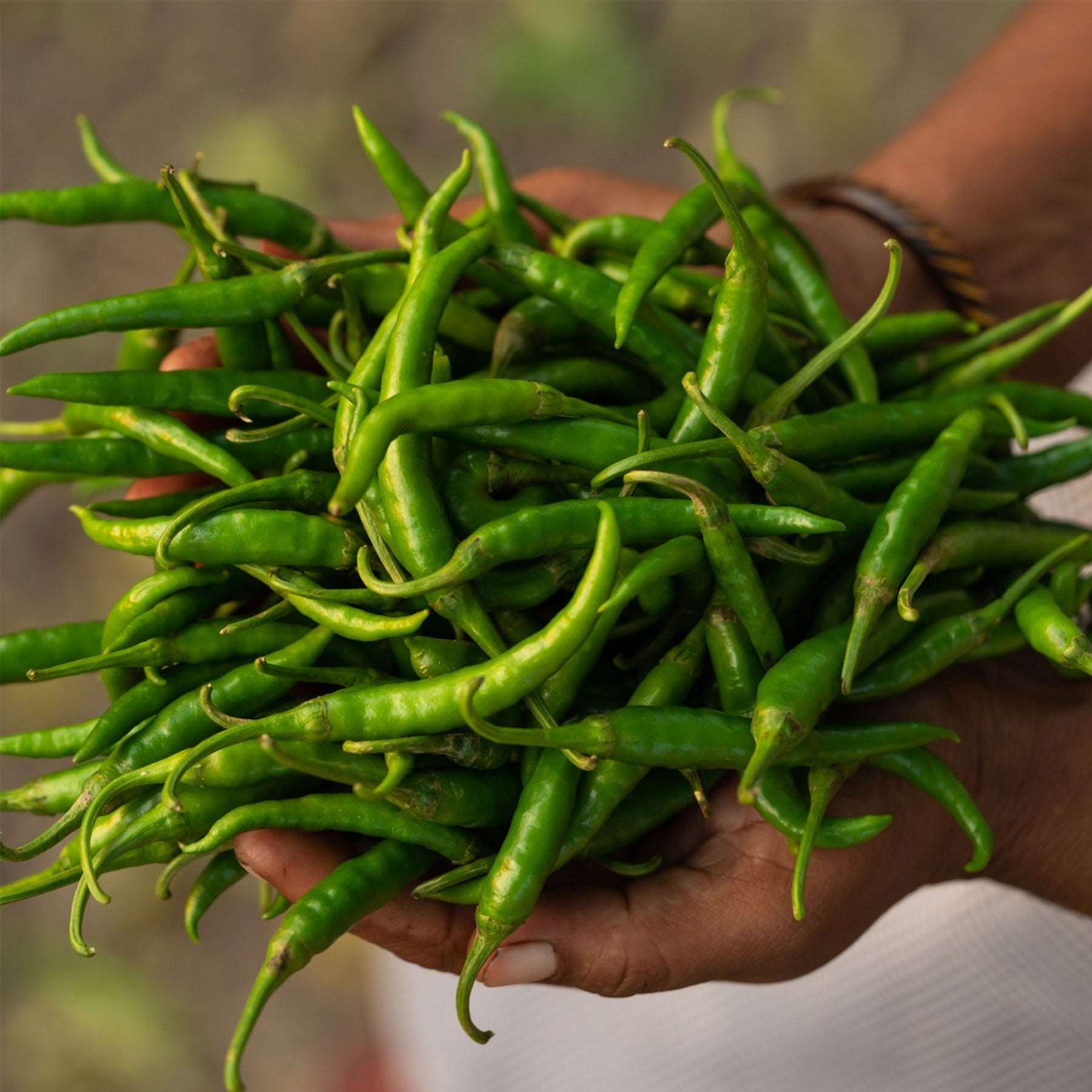 Online Spicy Green Chilly Pickle  Shop Now