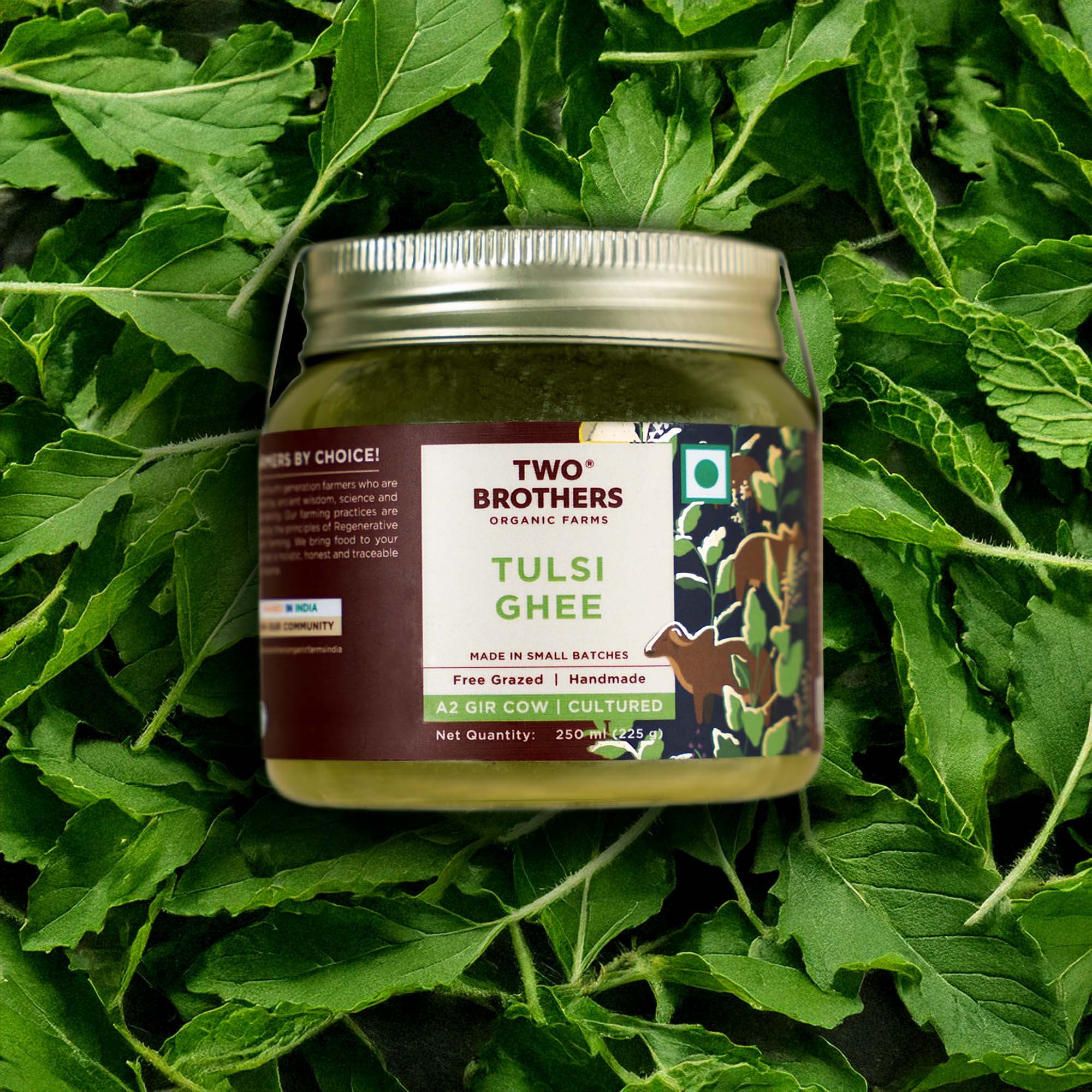 Tulsi Ghee