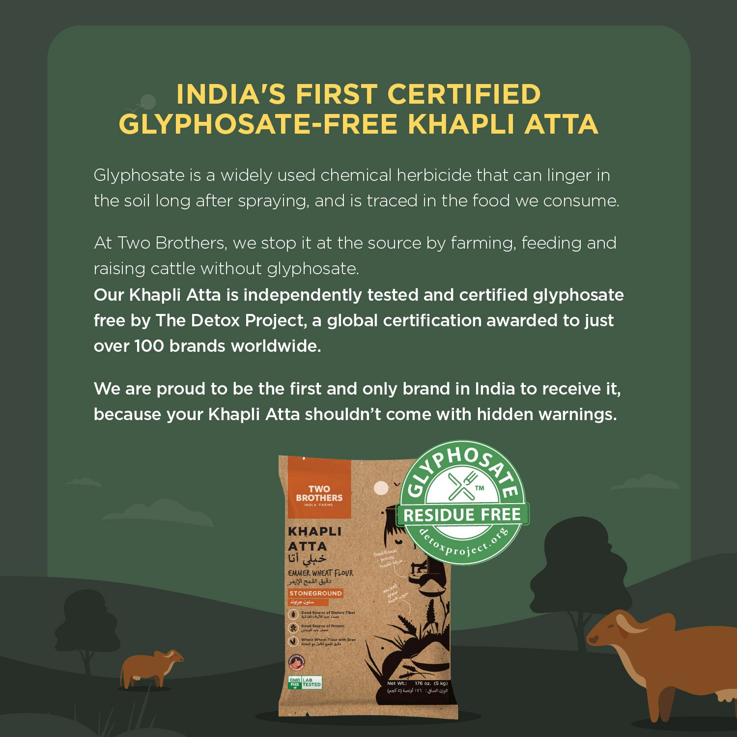 Khapli Wheat Atta (Emmer Wheat Flour) Atta Stone Ground